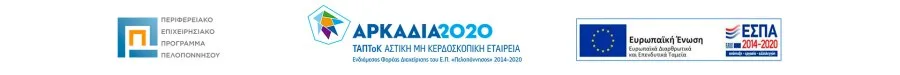 TΑΠΤΟΚ ΑΡΚΑΔΙΑ 2020 – ΑΣΤΙΚΗ ΜΗ ΚΕΡΔΟΣΚΟΠΙΚΗ ΕΤΑΙΡΕΙΑ